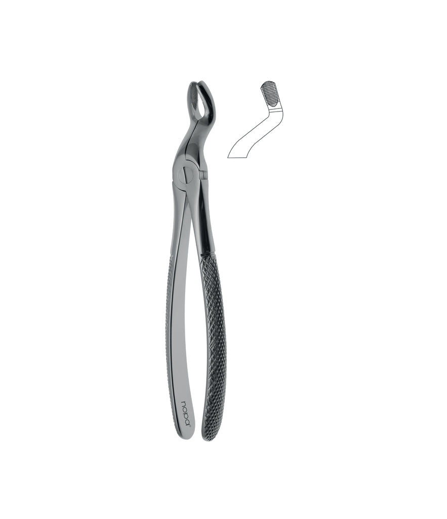 Extracting Forceps # 67A Elegance