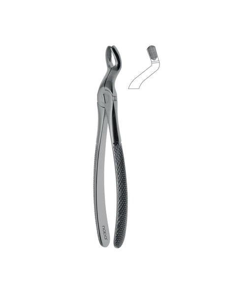 Extracting Forceps # 67A Elegance