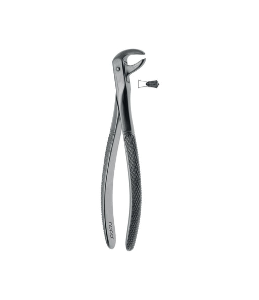 Extracting Forceps # 73 Elegance