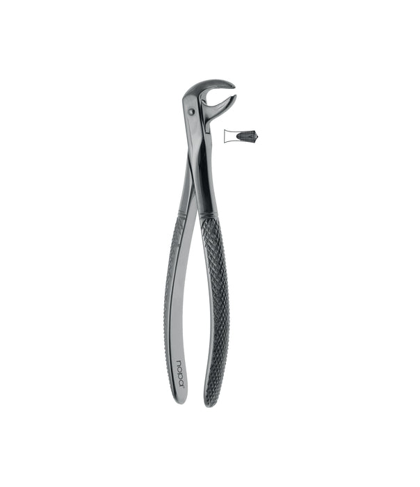 Extracting Forceps # 73 Elegance