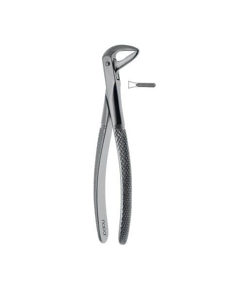 Extracting Forceps Elegance # 74N
