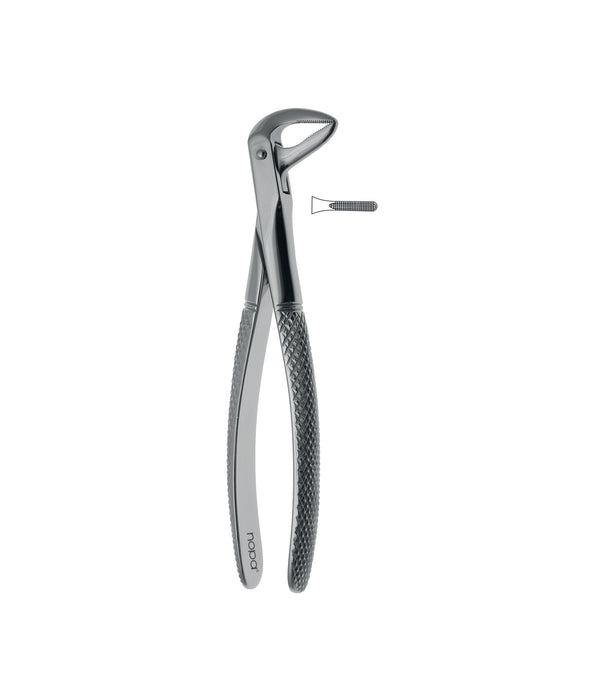 Extracting Forceps Elegance # 74N