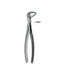 Extracting Forceps Elegance # 74N