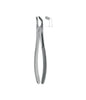Extracting Forceps # 79 Elegance