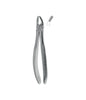 Extracting Forceps Children # 39