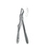 Extracting Forceps # 51S Children