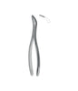 Root Fragment Forceps # 501