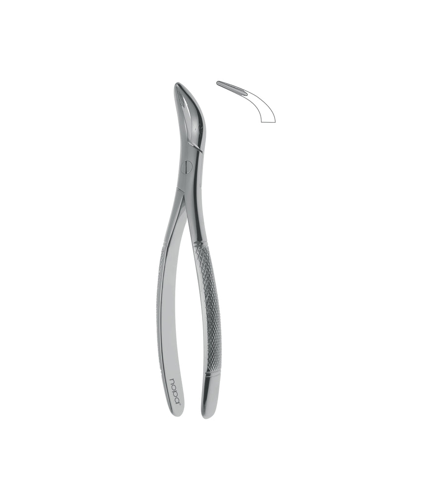 Root Fragment Forceps # 501