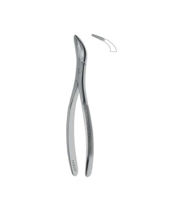 Root Fragment Forceps # 501