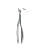 Root Fragment Forceps # 501