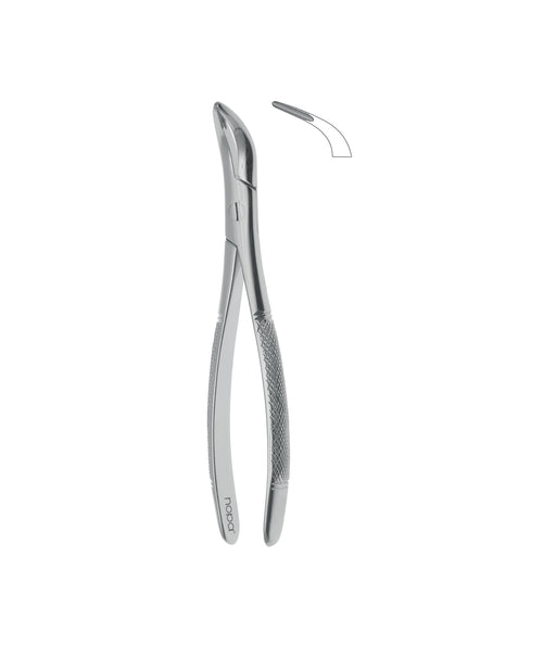 Root Fragment Forceps # 502