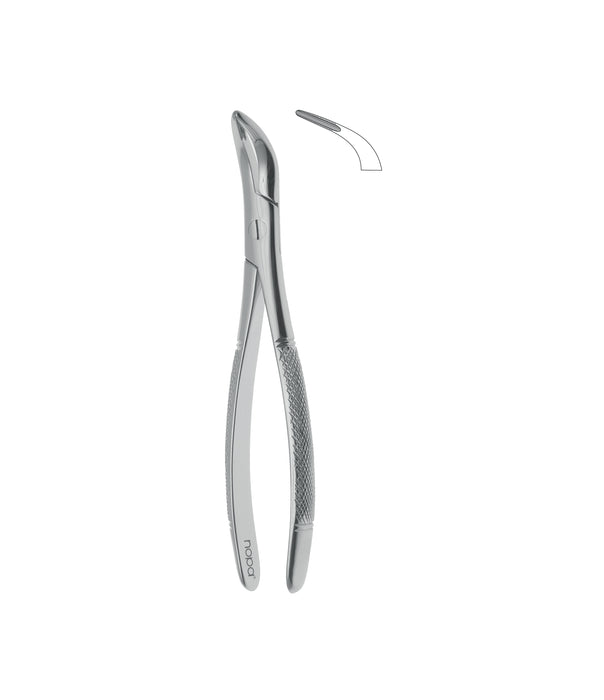 Root Fragment Forceps # 502