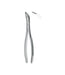 Root Fragment Forceps # 502