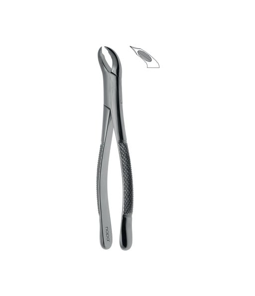 Extracting Forceps # 3Fs