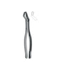 Extracting Forceps # 10S
