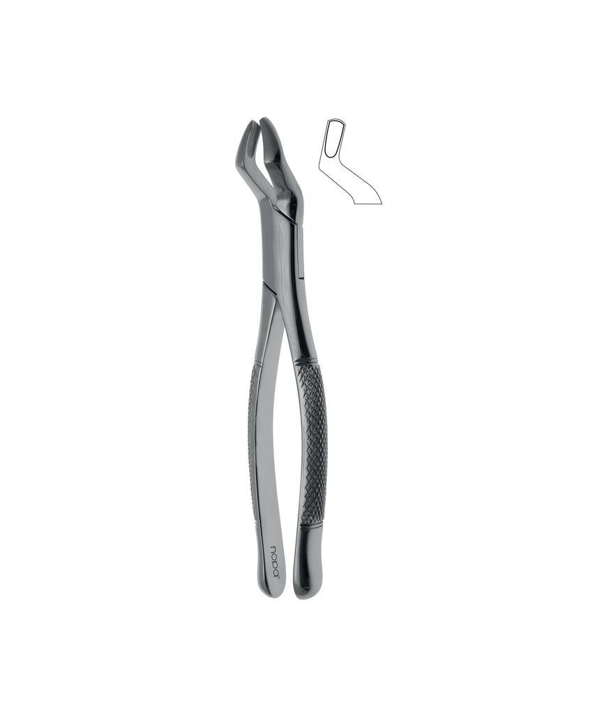 Extracting Forceps # 10S