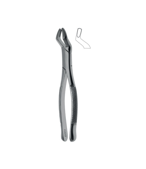 Extracting Forceps # 10S