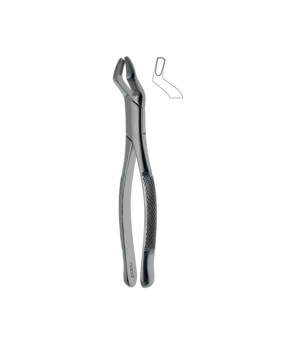 Extracting Forceps # 10S