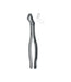 Extracting Forceps # 10S