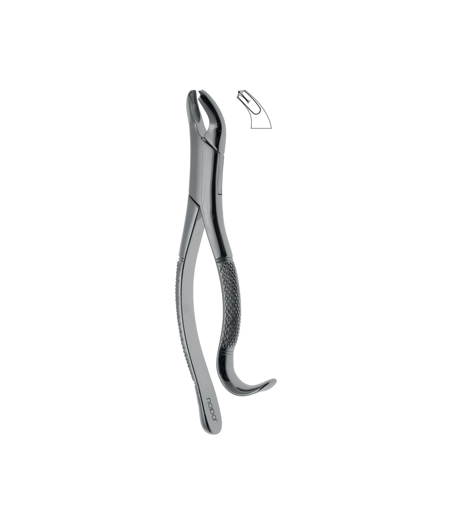 Extracting Forceps # 15