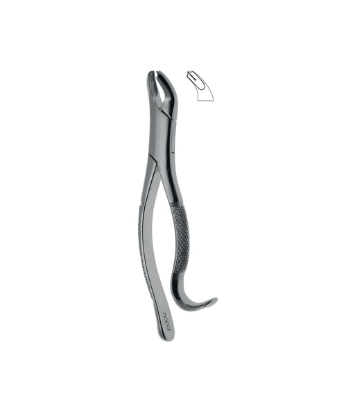 Extracting Forceps # 15