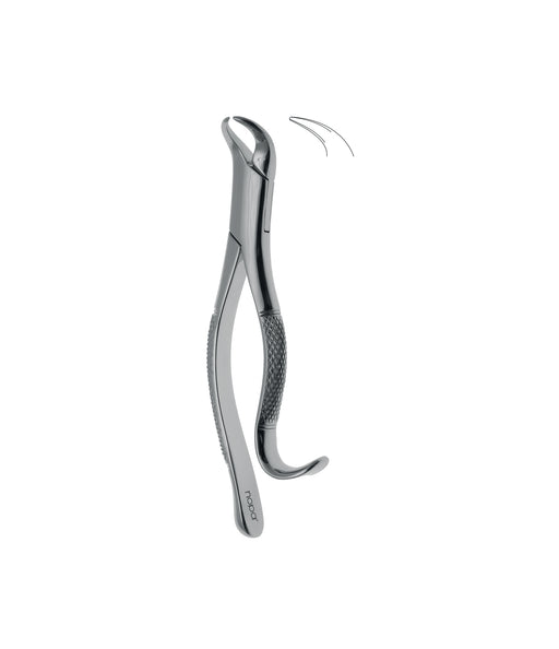 Extracting Forceps # 16