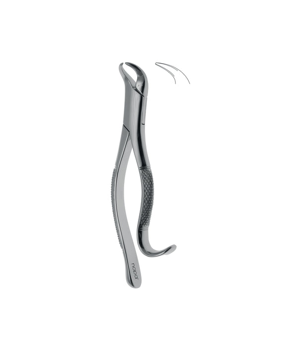 Extracting Forceps # 16