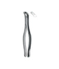 Extracting Forceps # 17