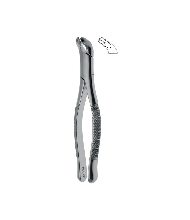 Extracting Forceps # 17