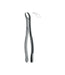 Extracting Forceps # 23