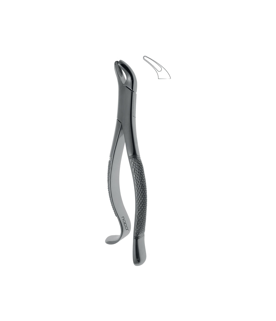 Extracting Forceps # 24