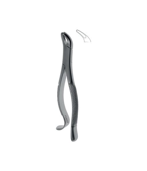Extracting Forceps # 24