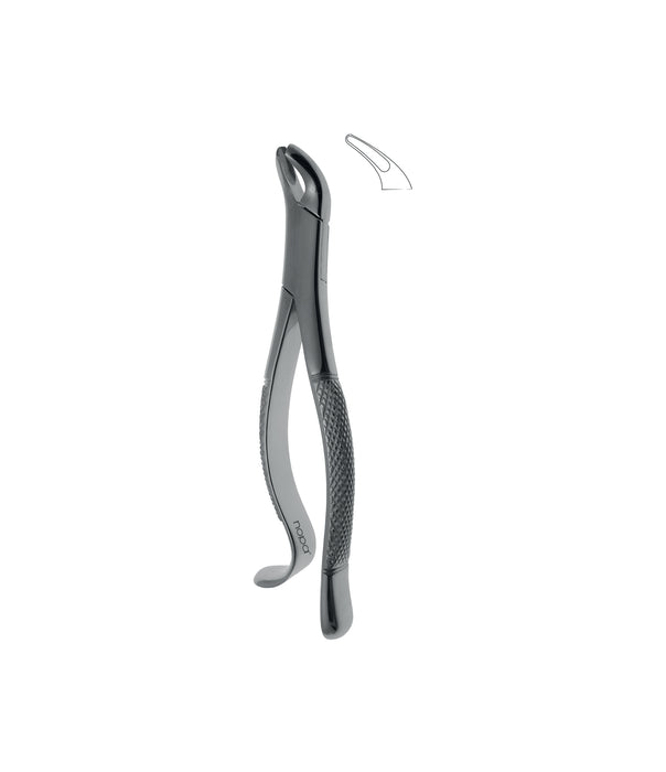 Extracting Forceps # 24