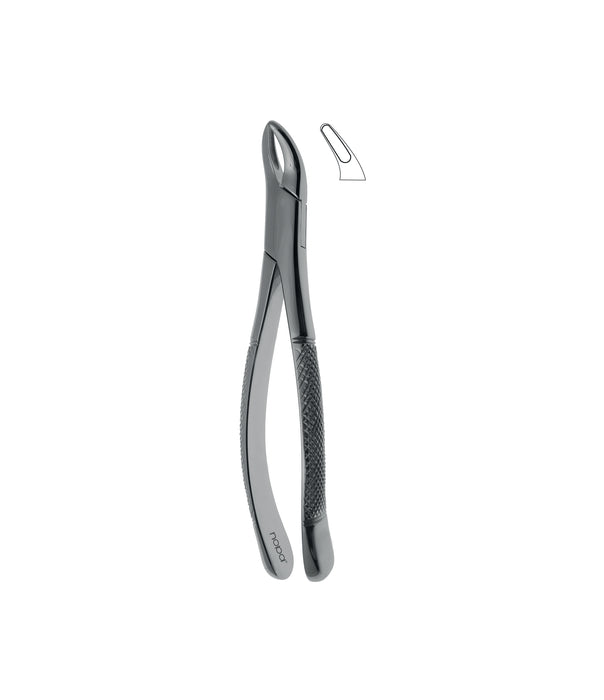 Extracting Forceps # 62