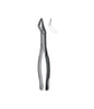 Extracting Forceps # 65