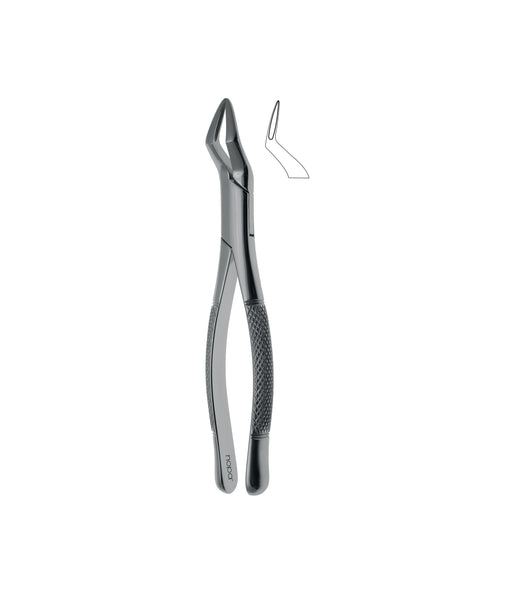 Extracting Forceps # 65