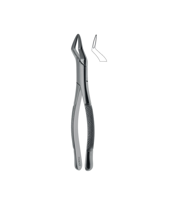 Extracting Forceps # 65