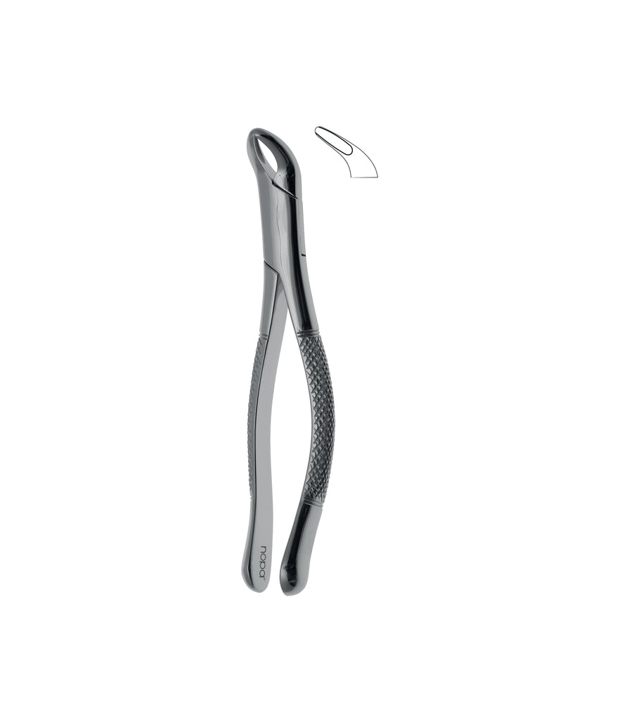 Extracting Forceps # # 151