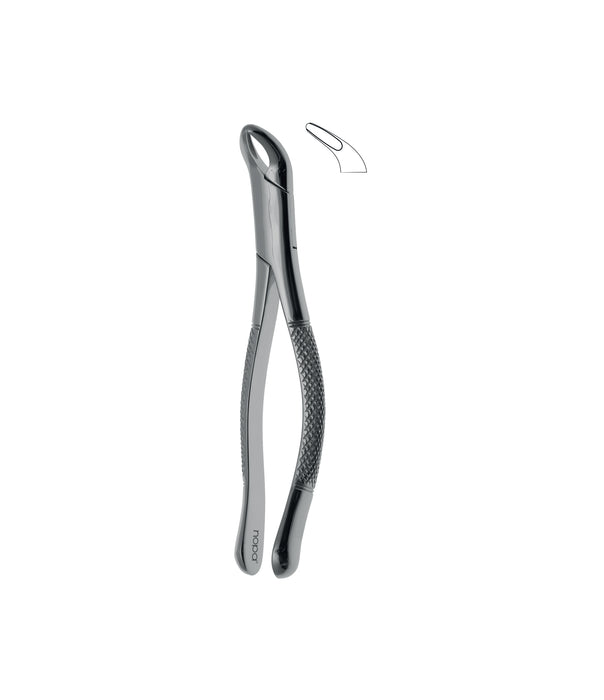 Extracting Forceps # # 151