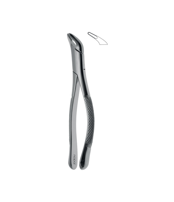 Extracting Forceps # # 151A