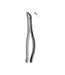 Extracting Forceps # # 151As