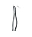 Extracting Forceps # # 151S