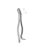 Extracting Forceps # 210H