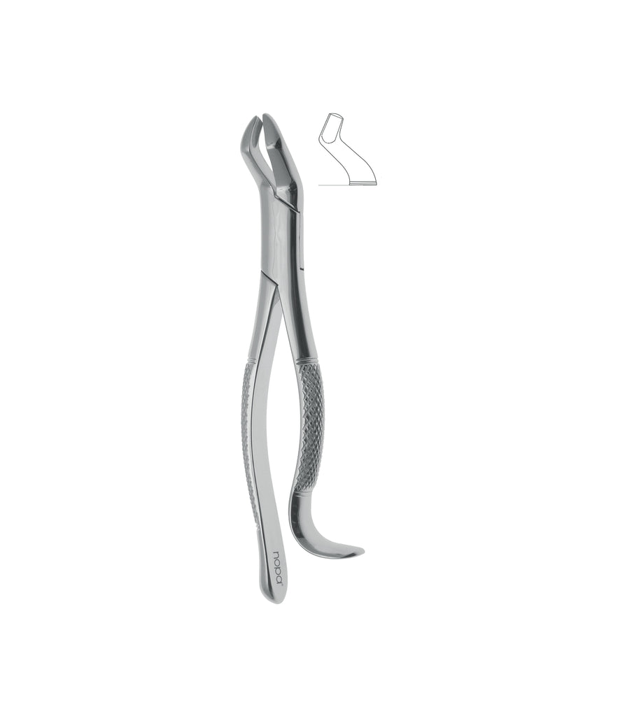 Extracting Forceps # 210H