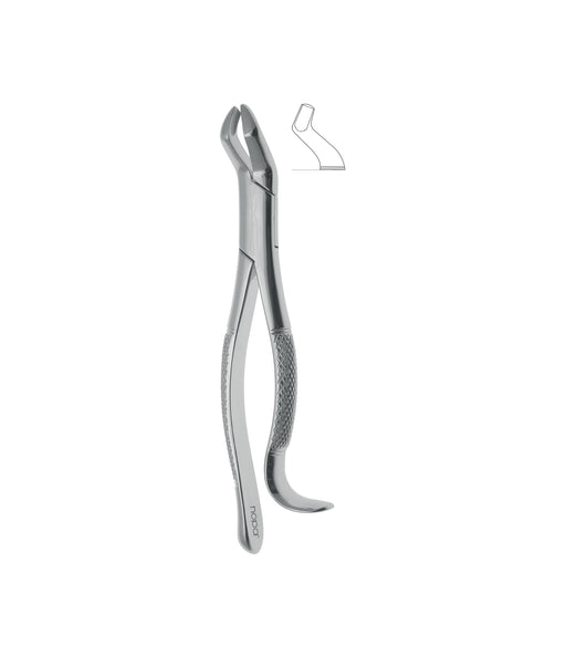 Extracting Forceps # 210H
