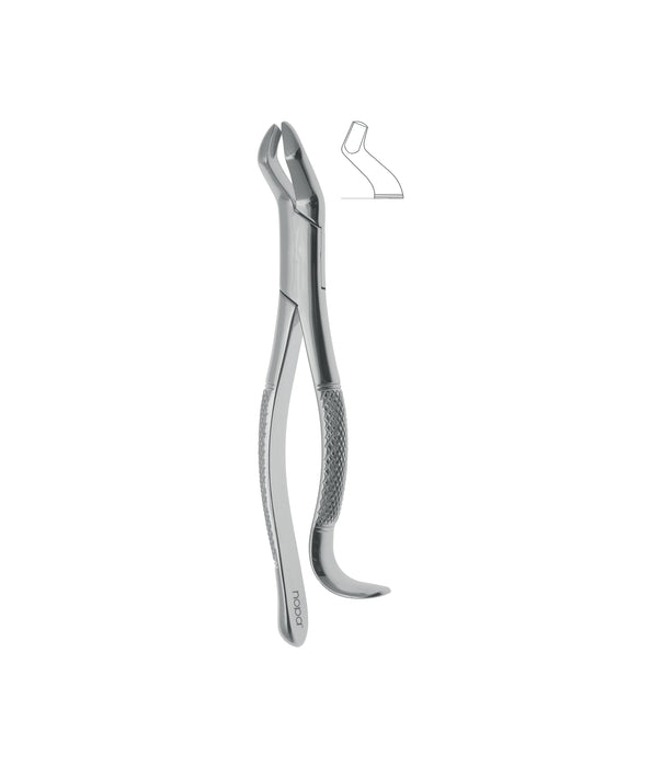 Extracting Forceps # 210H