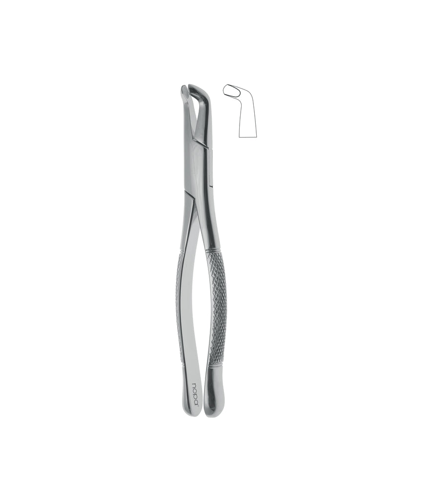 Extracting Forceps # 222