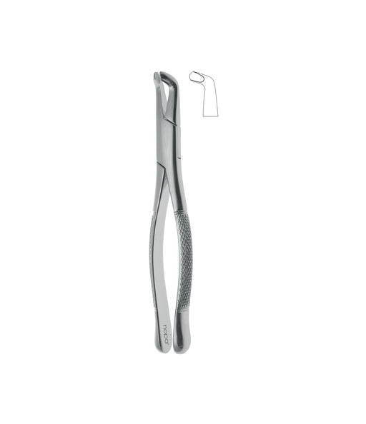 Extracting Forceps # 222