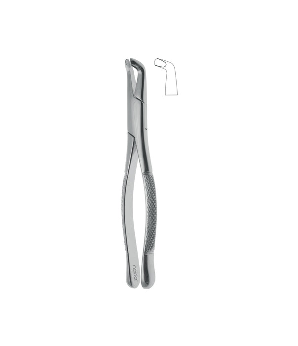 Extracting Forceps # 222
