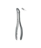Extracting Forceps # 17Sk